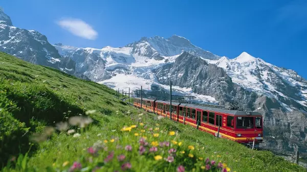 jungfraubahn-blumenwiese0481-1140x640